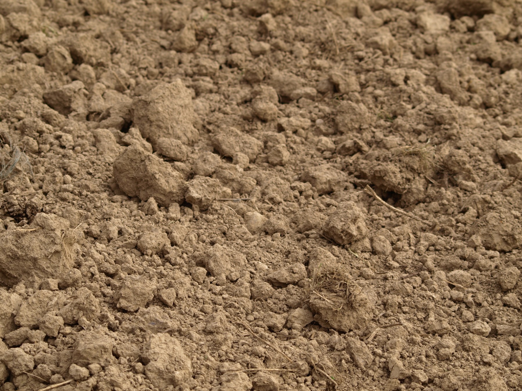 Разновидности песчаных грунтов
